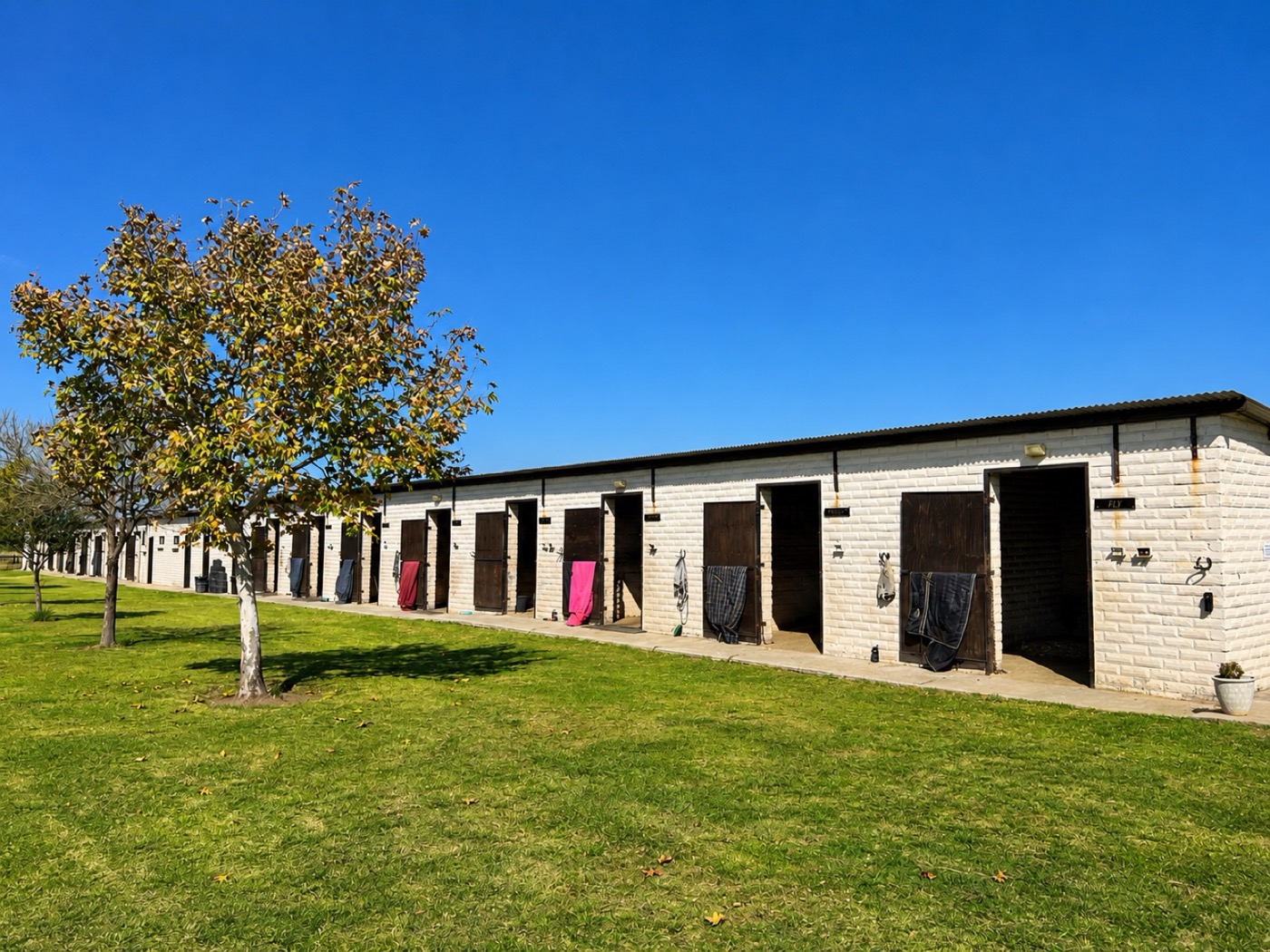 Striders stableyard — equestrian